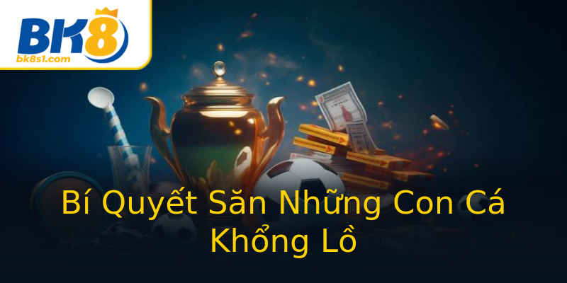 Bí Quyết Săn Những Con Cá Khổng Lồ Bí Quyết Săn Những Con Cá Khổng Lồ