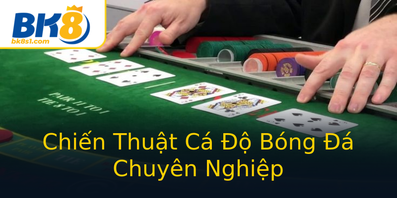 Chiến Thuật Cá Độ Bóng Đá Chuyên Nghiệp Chiến Thuật Cá Độ Bóng Đá Chuyên Nghiệp
